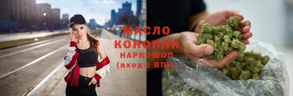 соль ск Дмитровск