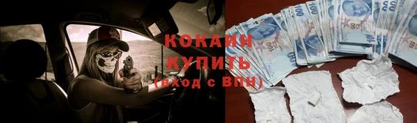 соль ск Дмитровск