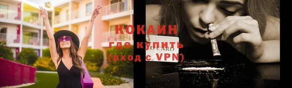 соль ск Дмитровск