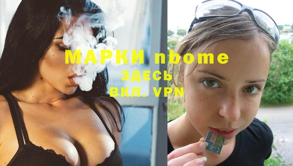 соль ск Дмитровск