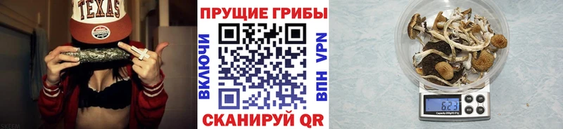 Купить где  Касли  Псилоцибиновые грибы мухоморы 